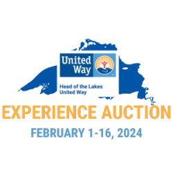 Experience Auction Button